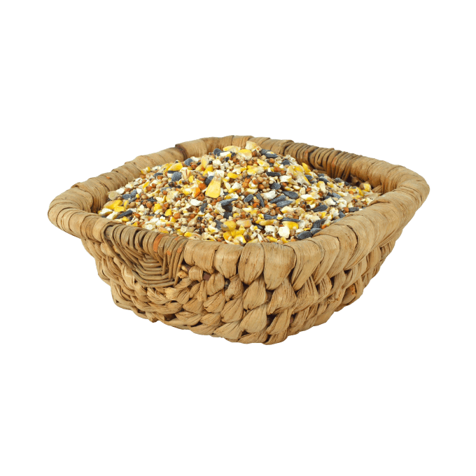shop-20-01
